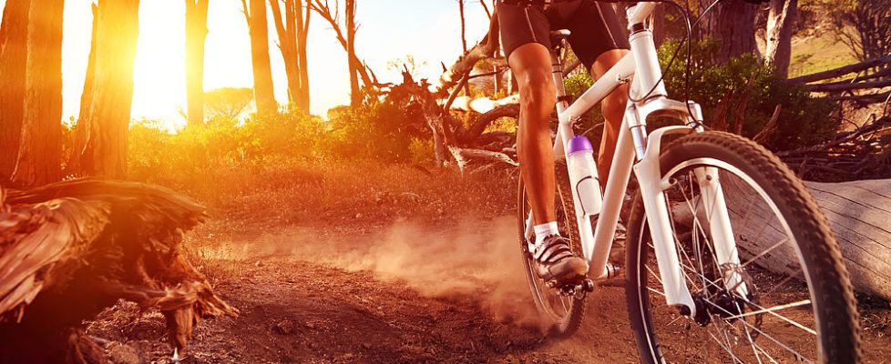 Beginner’s Guide To Mountain Biking